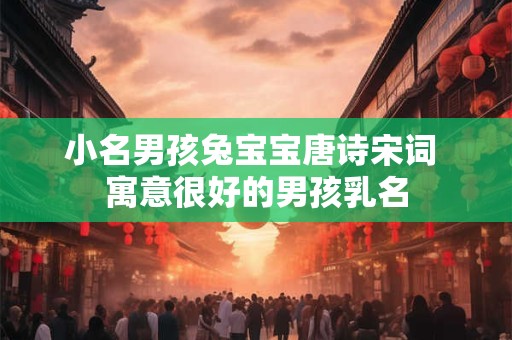 小名男孩兔宝宝唐诗宋词 寓意很好的男孩乳名