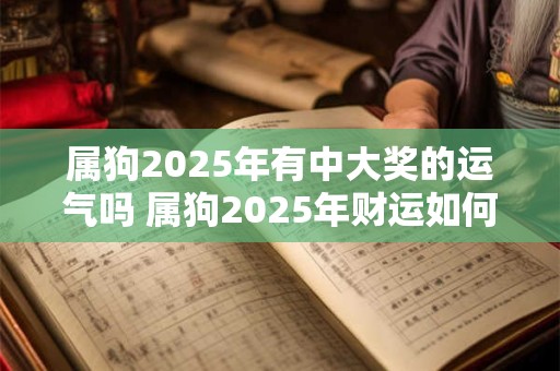 属狗2025年有中大奖的运气吗 属狗2025年财运如何