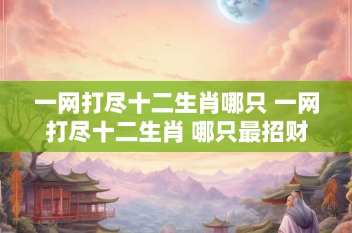 一网打尽十二生肖哪只 一网打尽十二生肖 哪只最招财