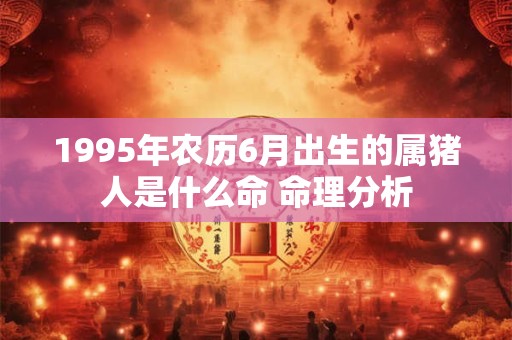 1995年农历6月出生的属猪人是什么命 命理分析