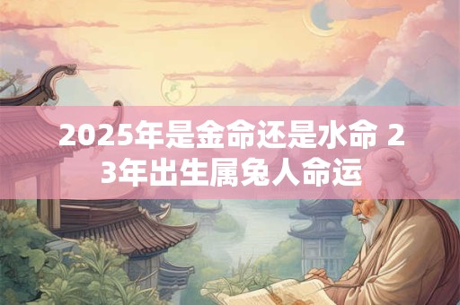 2025年是金命还是水命 23年出生属兔人命运