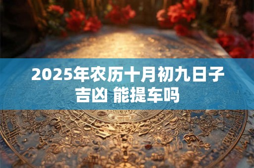 2025年农历十月初九日子吉凶 能提车吗
