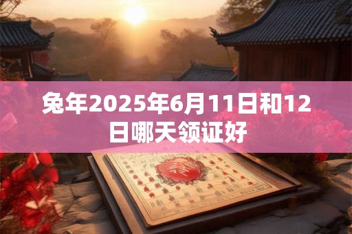 兔年2025年6月11日和12日哪天领证好