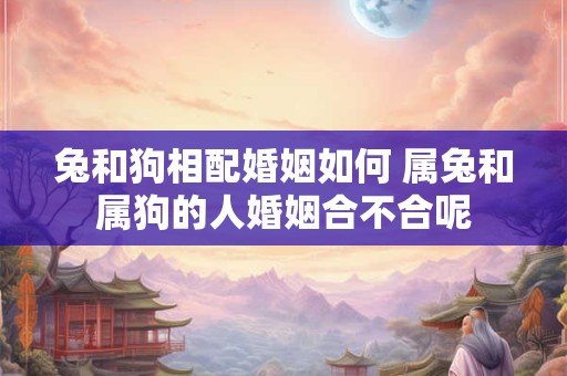 兔和狗相配婚姻如何 属兔和属狗的人婚姻合不合呢