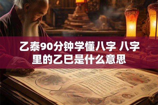 乙泰90分钟学懂八字 八字里的乙巳是什么意思