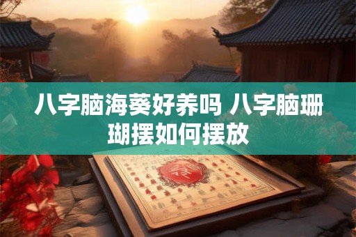 八字脑海葵好养吗 八字脑珊瑚摆如何摆放