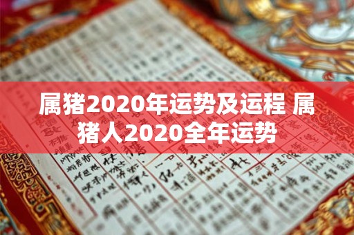 属猪2020年运势及运程 属猪人2020全年运势