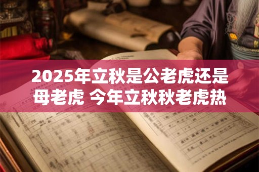 2025年立秋是公老虎还是母老虎 今年立秋秋老虎热不热