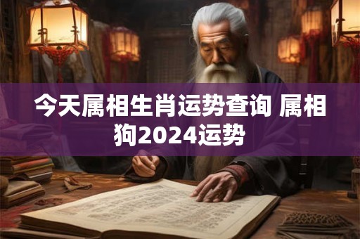 今天属相生肖运势查询 属相狗2024运势