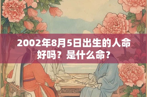 2002年8月5日出生的人命好吗？是什么命？