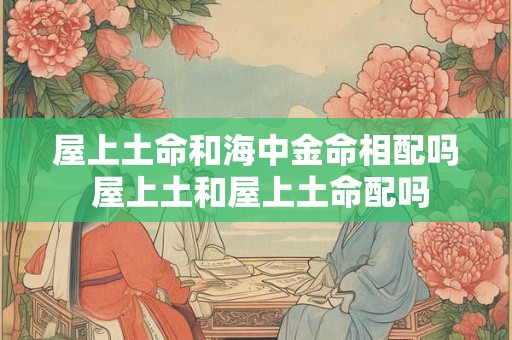 屋上土命和海中金命相配吗 屋上土和屋上土命配吗