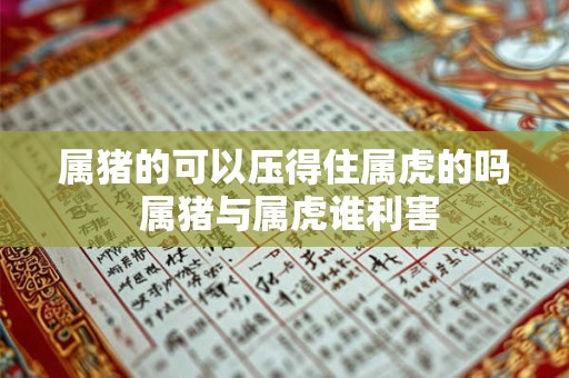 属猪的可以压得住属虎的吗 属猪与属虎谁利害