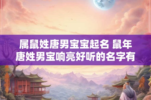 属鼠姓唐男宝宝起名 鼠年唐姓男宝响亮好听的名字有哪些 属鼠姓唐男宝宝起名 鼠年唐姓男宝响亮好听的名字有哪些