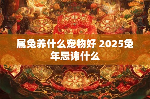 属兔养什么宠物好 2025兔年忌讳什么