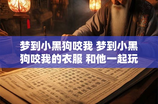 梦到小黑狗咬我 梦到小黑狗咬我的衣服 和他一起玩