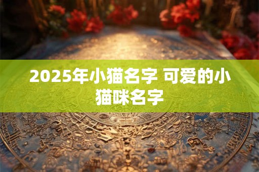 2025年小猫名字 可爱的小猫咪名字