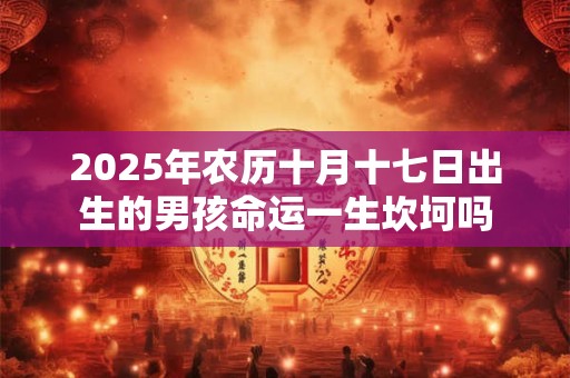 2025年农历十月十七日出生的男孩命运一生坎坷吗