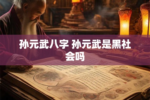 孙元武八字 孙元武是黑社会吗