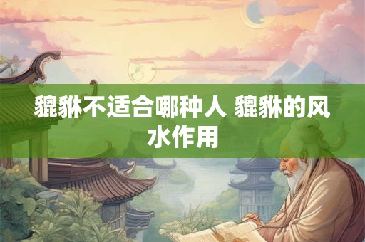 貔貅不适合哪种人 貔貅的风水作用