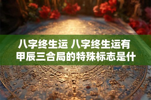 八字终生运 八字终生运有 甲辰三合局的特殊标志是什么意思