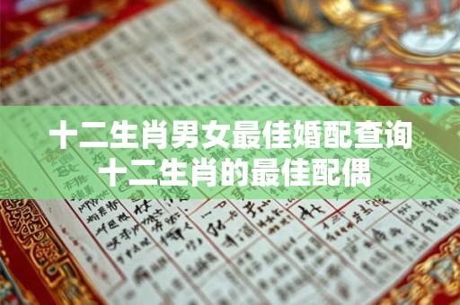 十二生肖男女最佳婚配查询 十二生肖的最佳配偶