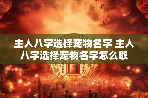 主人八字选择宠物名字 主人八字选择宠物名字怎么取