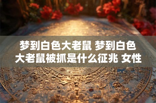梦到白色大老鼠 梦到白色大老鼠被抓是什么征兆 女性