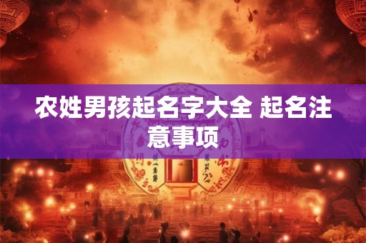 农姓男孩起名字大全 起名注意事项