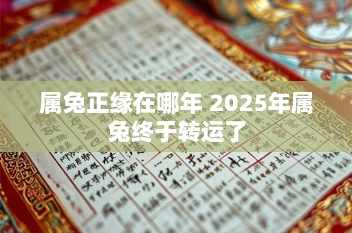 属兔正缘在哪年 2025年属兔终于转运了
