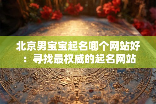 北京男宝宝起名哪个网站好 ：寻找最权威的起名网站