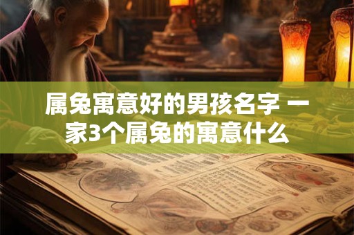 属兔寓意好的男孩名字 一家3个属兔的寓意什么