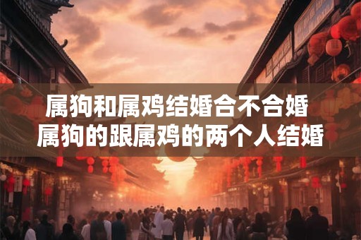 属狗和属鸡结婚合不合婚 属狗的跟属鸡的两个人结婚夫妻合不合