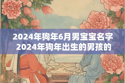 2024年狗年6月男宝宝名字 2024年狗年出生的男孩的名字