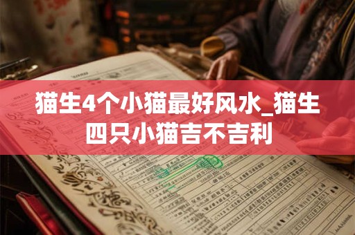 猫生4个小猫最好风水_猫生四只小猫吉不吉利