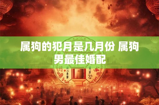 属狗的犯月是几月份 属狗男最佳婚配 属狗的犯月是几月份 属狗男最佳婚配