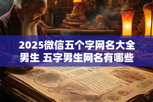 2025微信五个字网名大全男生 五字男生网名有哪些