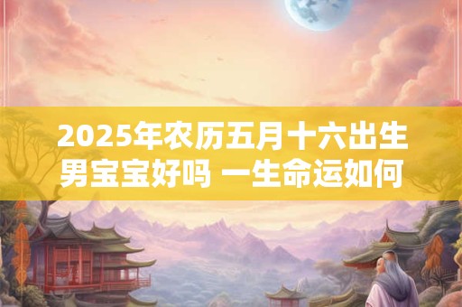 2025年农历五月十六出生男宝宝好吗 一生命运如何