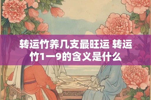 转运竹养几支最旺运 转运竹1一9的含义是什么