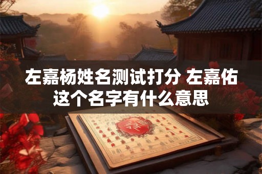 左嘉杨姓名测试打分 左嘉佑这个名字有什么意思