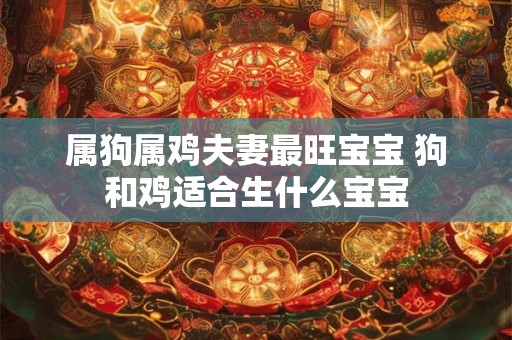 属狗属鸡夫妻最旺宝宝 狗和鸡适合生什么宝宝
