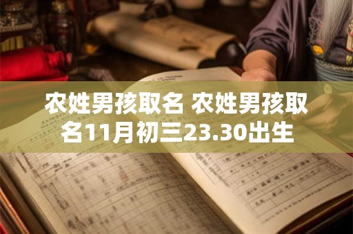 农姓男孩取名 农姓男孩取名11月初三23.30出生