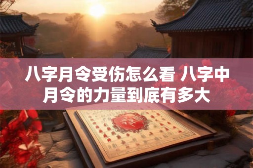 八字月令受伤怎么看 八字中月令的力量到底有多大