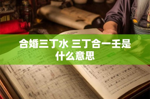 合婚三丁水 三丁合一壬是什么意思