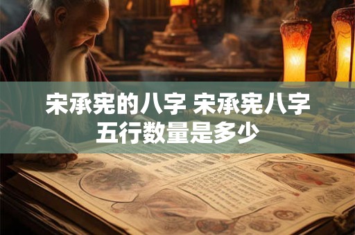 宋承宪的八字 宋承宪八字五行数量是多少