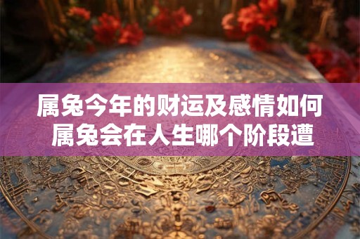 属兔今年的财运及感情如何 属兔会在人生哪个阶段遭遇财政危机