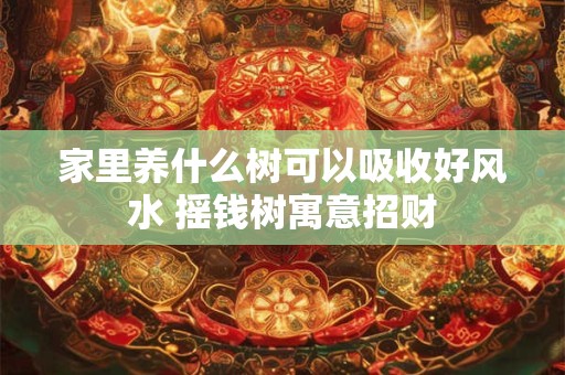 家里养什么树可以吸收好风水 摇钱树寓意招财