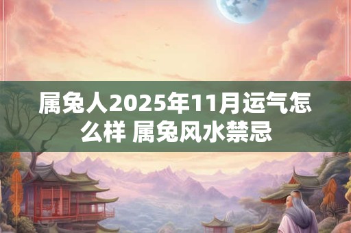 属兔人2025年11月运气怎么样 属兔风水禁忌