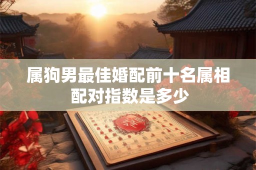属狗男最佳婚配前十名属相 配对指数是多少
