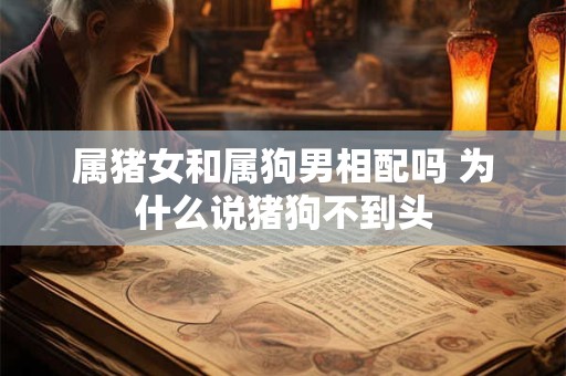 属猪女和属狗男相配吗 为什么说猪狗不到头
