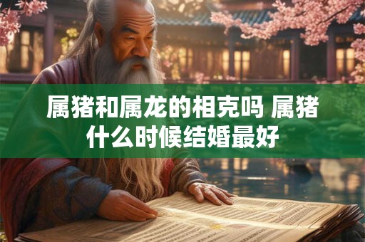 属猪和属龙的相克吗 属猪什么时候结婚最好